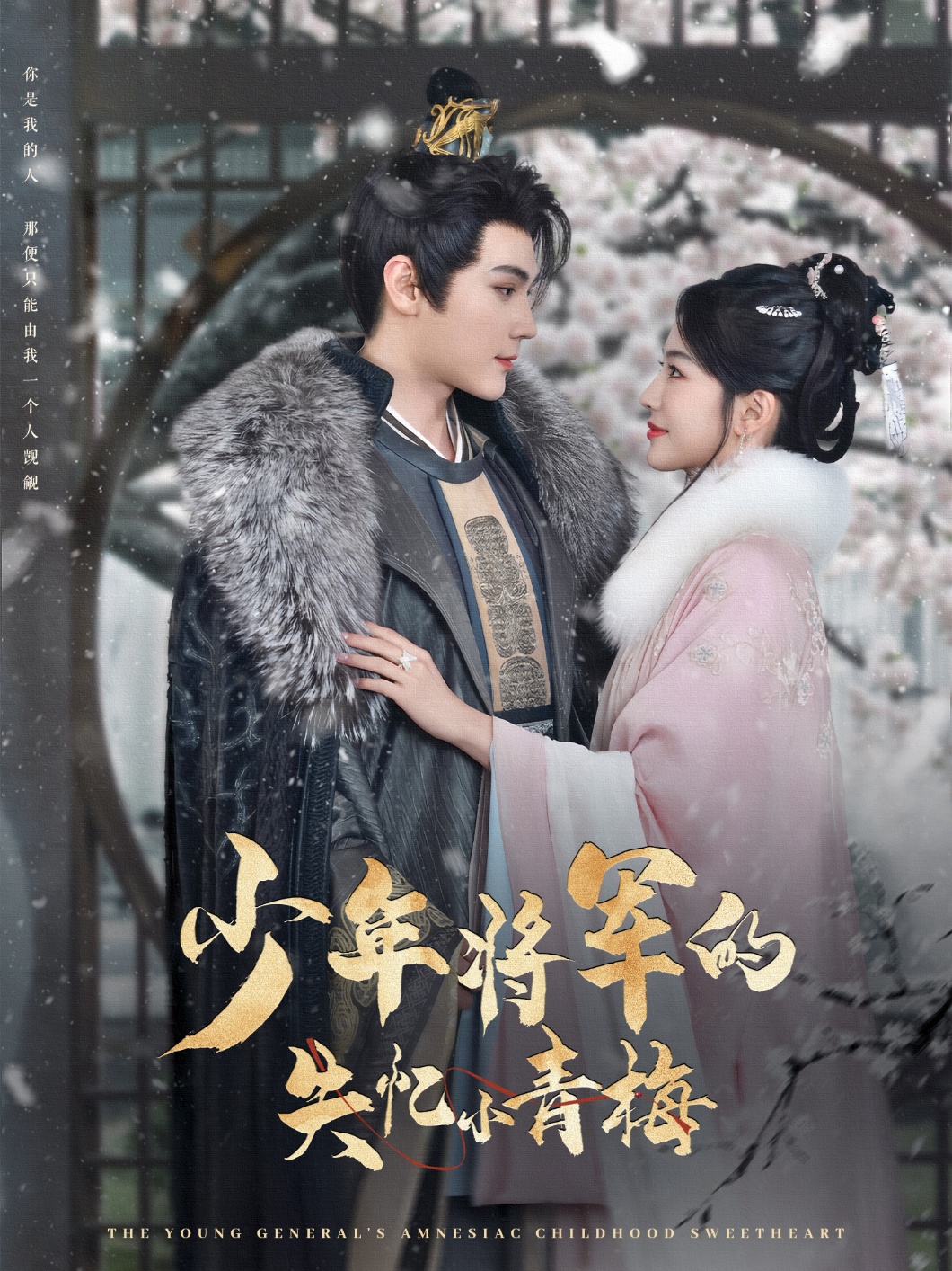 少年将军的失忆小青梅(全集)